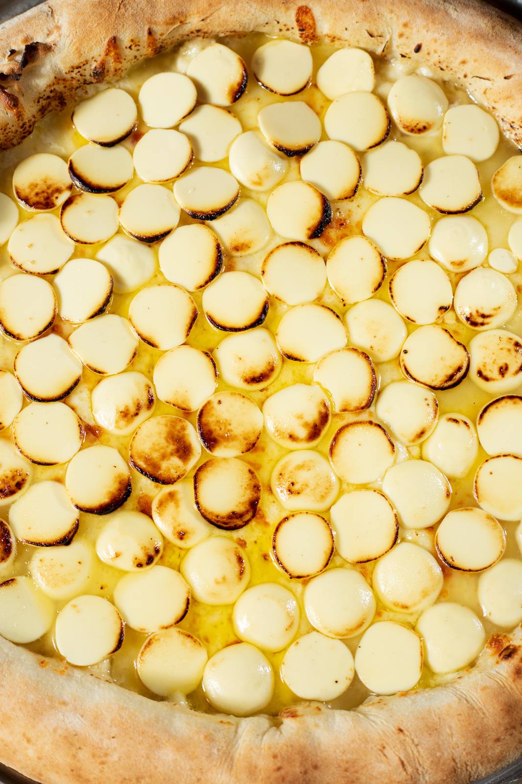 Forno a lenha aceso